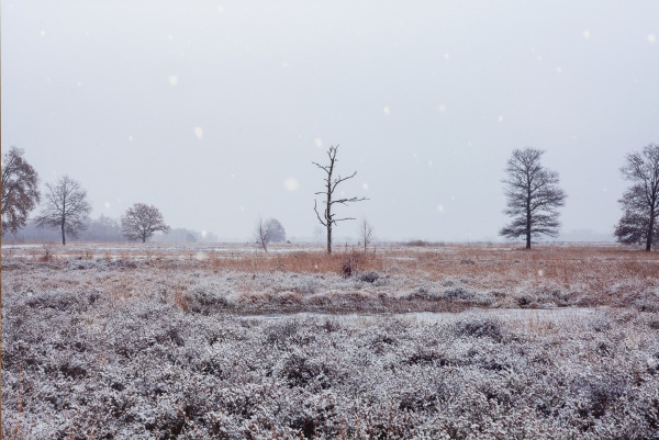 Großes Torfmoor Winterlandschaft